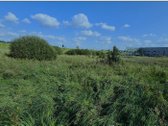 Vilniaus g. 38a (0,9465 ha)  - nuotraukos Nr. 5