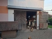 Parduodamas Rojaus kampelis Draugystės soduose. - nuotraukos Nr. 6