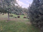 Parduodamas Rojaus kampelis Draugystės soduose. - nuotraukos Nr. 9