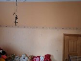 Parduodamas Rojaus kampelis Draugystės soduose. - nuotraukos Nr. 15