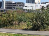 Nuomojamas dviejų kambarių butas. 2017m - nuotraukos Nr. 28