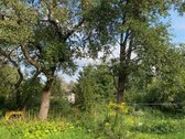 Parduodamas sklypas su gyvenamuoju namu - nuotraukos Nr. 7