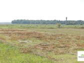 Parduodamas 24,27 Arų Sklypas, Šalia Klibių - nuotraukos Nr. 5