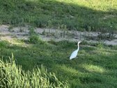 Parduodami sklypai. Ieškantiems geriausio ! - nuotraukos Nr. 21