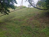 Parduodama sodyba ant Šušvės kranto, 6 km nuo - nuotraukos Nr. 15