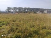 Parduodamas sklypas yra Girkalių gyvenvietėje - nuotraukos Nr. 2