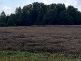 Visas sklypo plotas 7.6ha - nuotraukos Nr. 2