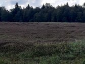 Visas sklypo plotas 7.6ha - nuotraukos Nr. 4