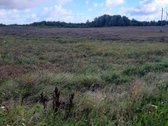Visas sklypo plotas 7.6ha - nuotraukos Nr. 5