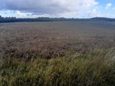 Visas sklypo plotas 7.6ha - nuotraukos Nr. 6