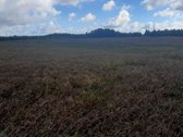 Visas sklypo plotas 7.6ha - nuotraukos Nr. 7
