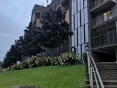 Stilingas 1 kambario butas Naujamiestyje su - nuotraukos Nr. 2