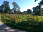 4 km nuo Rusnes mietelio. Prie sklypo prieina - nuotraukos Nr. 3