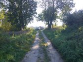 4 km nuo Rusnes mietelio. Prie sklypo prieina - nuotraukos Nr. 6
