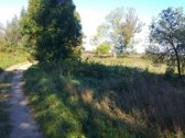 4 km nuo Rusnes mietelio. Prie sklypo prieina - nuotraukos Nr. 8
