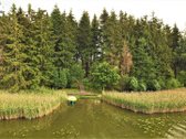 300 metrų nuosavos Arimaičių ežero pakrantės - nuotraukos Nr. 2