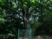 Parduodamas Erdvus gyvenamasis namas su 2 - nuotraukos Nr. 28