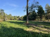Sklypas randasi miškų apsuptame Braziūkų - nuotraukos Nr. 3
