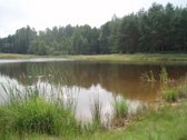 Parduodamas 3,94 ha namų valdos, žemės ūkio,