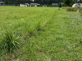 Parduodamas Namų Valdos Sklypas Viečiūnuose, - nuotraukos Nr. 12