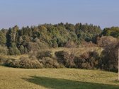Vaizdingoje Vietoje, Šalia Alsėdžių Tvenkinio - nuotraukos Nr. 14