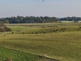 Vaizdingoje Vietoje, Šalia Alsėdžių Tvenkinio - nuotraukos Nr. 19
