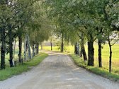 Vaizdingoje Vietoje, Šalia Alsėdžių Tvenkinio - nuotraukos Nr. 23
