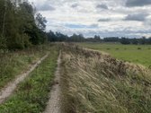  - nuotraukos Nr. 9