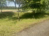 Yra galimybę nusipirkti šalia sodybos 3,4 ha - nuotraukos Nr. 5