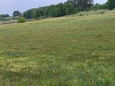 Tarp dviejų ežerų parduodamas 1,285ha sklypas - nuotraukos Nr. 5