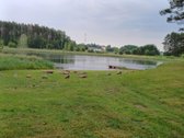 Tarp dviejų ežerų parduodamas 1,285ha sklypas - nuotraukos Nr. 9