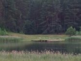 Tarp dviejų ežerų parduodamas 1,285ha sklypas - nuotraukos Nr. 10