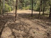 Parduodamas 1,2 ha sklypas, esantis Pasienių - nuotraukos Nr. 2