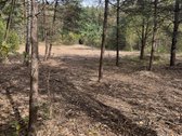 Parduodamas 1,2 ha sklypas, esantis Pasienių - nuotraukos Nr. 3