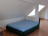 Namas turi didelį ir erdvų kiemą. Nuomojamas - nuotraukos Nr. 12