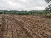 Sklypas ribojasi su Minijos upės pakrante. - nuotraukos Nr. 16