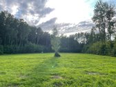 Unikali vieta. - nuotraukos Nr. 5