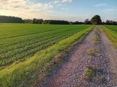 Parduodama sodyba ant Šušvės kranto, 6 km nuo - nuotraukos Nr. 7