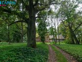 Nuostabioje vietoje, prie Kurėnų ežero, - nuotraukos Nr. 2