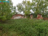 Nuostabioje vietoje, prie Kurėnų ežero, - nuotraukos Nr. 26