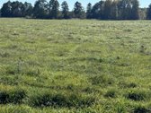 Parduodamas 9,3900 ha žemės ūkio paskirties - nuotraukos Nr. 4