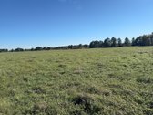 Parduodamas 9,3900 ha žemės ūkio paskirties - nuotraukos Nr. 5