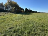Parduodamas 9,3900 ha žemės ūkio paskirties - nuotraukos Nr. 7