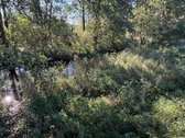 Parduodamas 9,3900 ha žemės ūkio paskirties - nuotraukos Nr. 8