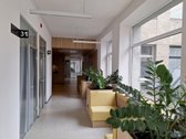 Vilniaus m. sav., Vilniaus m., Senamiestis - nuotraukos Nr. 5