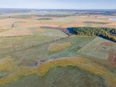 Galimybė Keisti Dalies Sklypo Paskirtį Į - nuotraukos Nr. 13