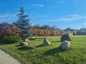 Sklypas - gyvenamoji paskirtis, galima ir su - nuotraukos Nr. 6