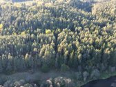 Parduodami du miškų ūkio skypai, 7,88 ha. ir - nuotraukos Nr. 4