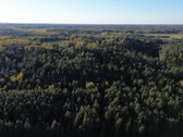 Parduodami du miškų ūkio skypai, 7,88 ha. ir - nuotraukos Nr. 6