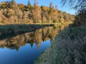 Parduodami du miškų ūkio skypai, 7,88 ha. ir - nuotraukos Nr. 8